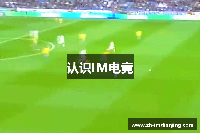 认识IM电竞